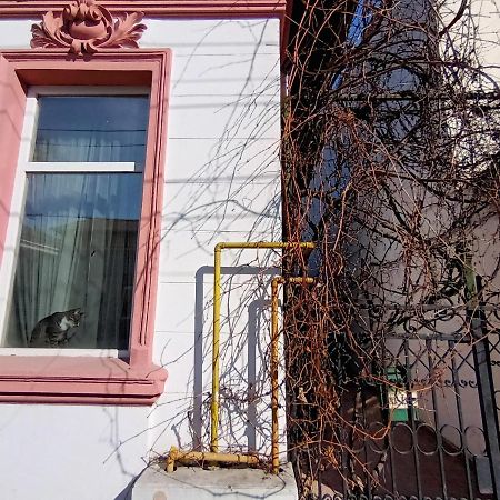 布加勒斯特Casa Liveni公寓 外观 照片