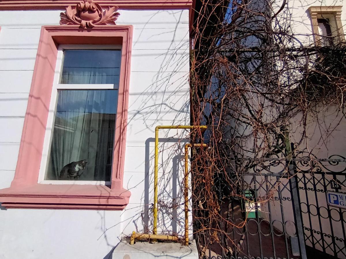 布加勒斯特Casa Liveni公寓 外观 照片